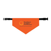The Alliance Pet Bandana Collar