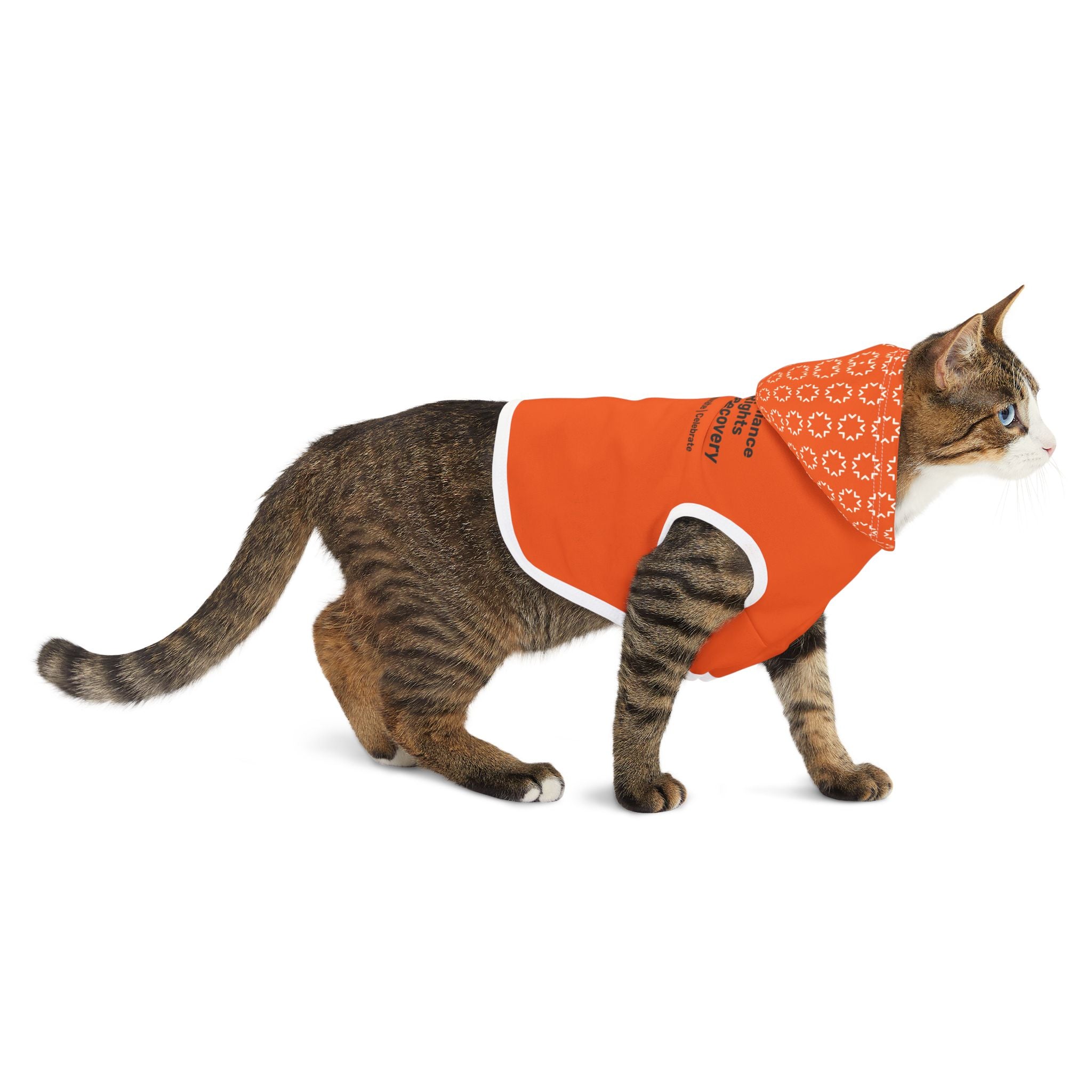 The Alliance Pet Hoodie