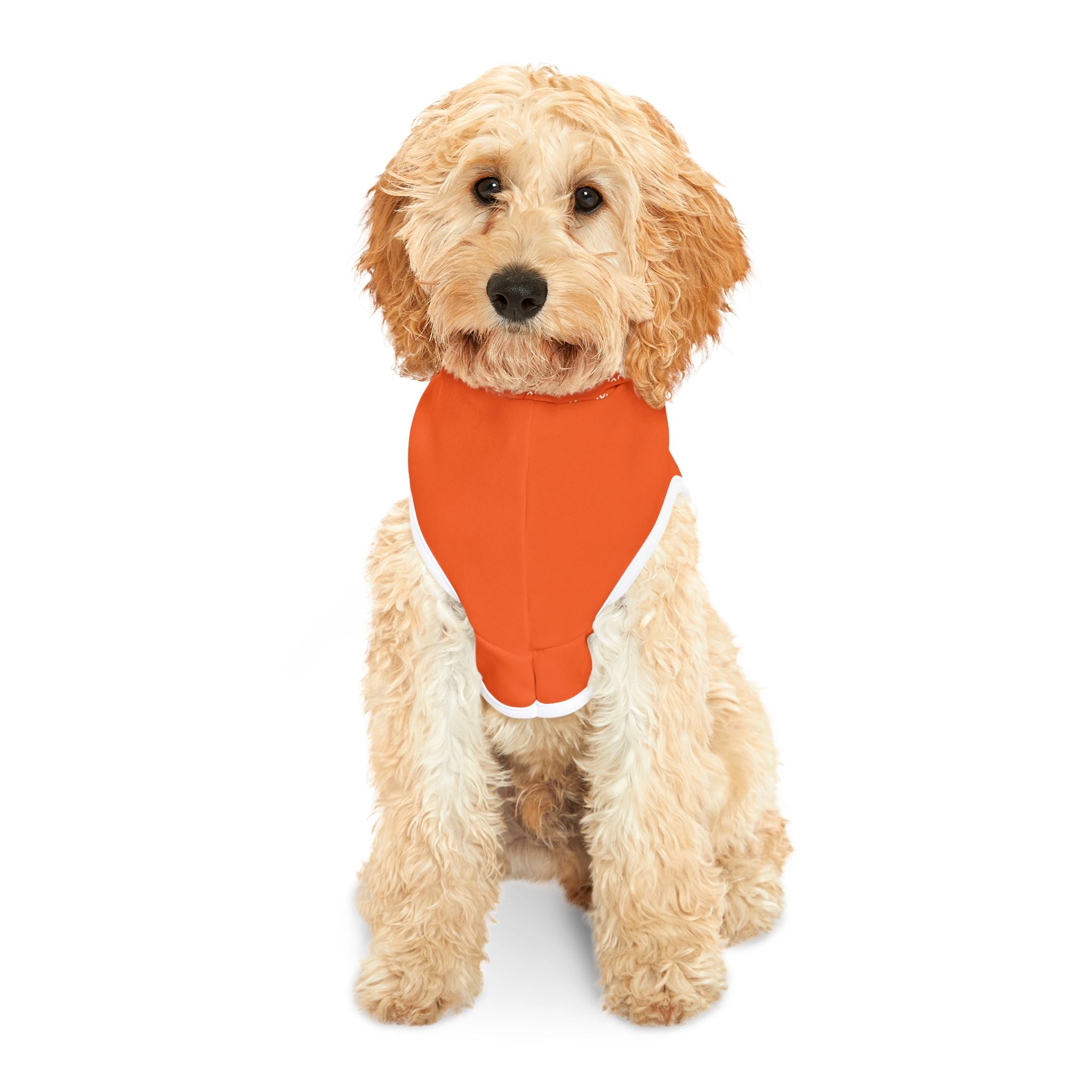 The Alliance Pet Hoodie
