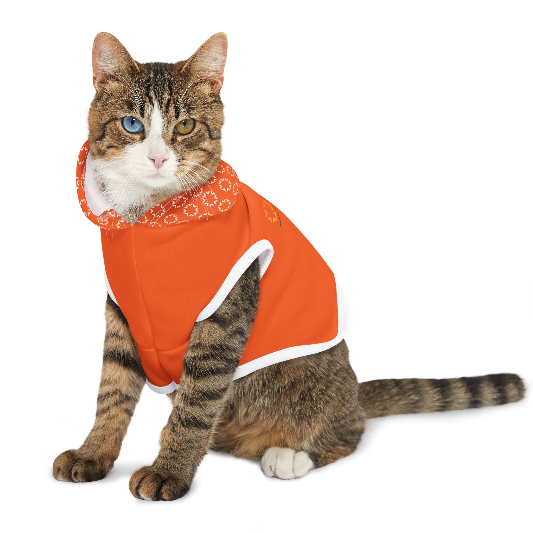 The Alliance Pet Hoodie